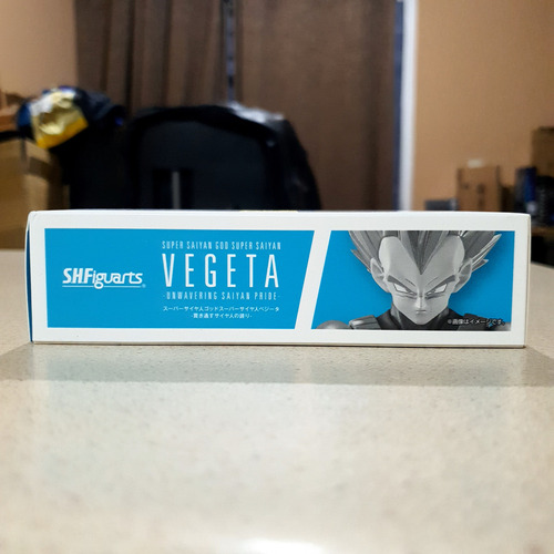 Sh Figuarts Dragon Ball Super Vegeta God Saiyan Blue Ssgss