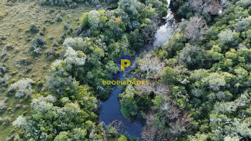 3 Hectáreas En Pueblo Edén Con Arroyo Y Monte Nativo