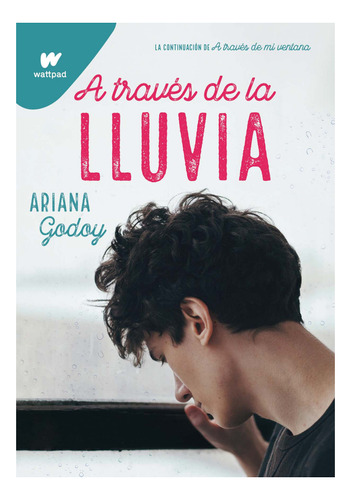 A Traves De La Lluvia - Godoy Adriana