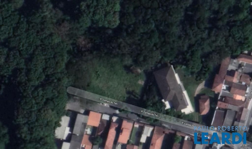 Imagem 3 de 4 de Terreno - Vila Amélia - Sp - 382735