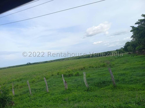 Imagen 2 de 12 de Finca Venta El Rastro Guarico Rolando Rodriguez Codg 23-2723