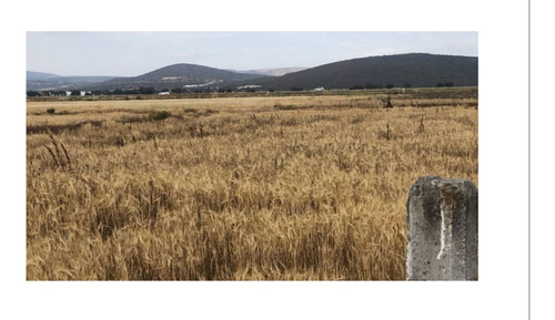 Terreno En Venta Tolcayuca 