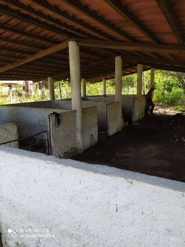 Imagem 11 de 15 de Chácara Com 3 Dormitórios À Venda, 578000000 M² Por R$ 1.020.000,00 - Tabuba - Caucaia/ce - Ch0002