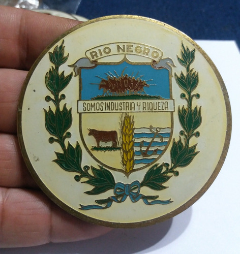 Chapa Pintada Bronce Con Escudo Departamental De Río Negro