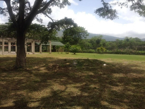 Imagen 3 de 6 de Se Vende Parcela En Montalban Aguirre Sd--748