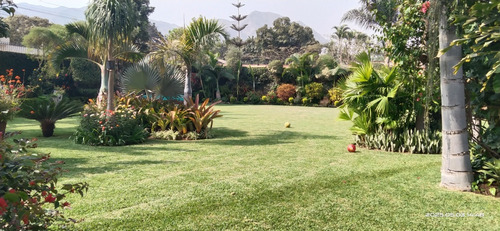 Palmeras De Condorhuaca Eventos Full Day 3000mts2.