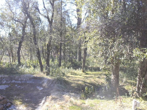 Imagen 12 de 17 de Venta Lote De 950m2 En Las Balsas, Villa La Angostura - L73c