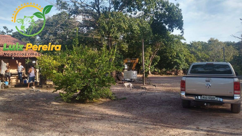 Imagem 2 de 15 de Fazenda À Venda Em Santa Tereza Do Tocantins-to-de 166 Alqueirões(pecuária) - 1692