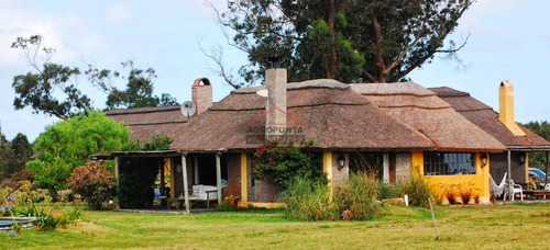 Campo En Venta 96hec- Ref: 5690