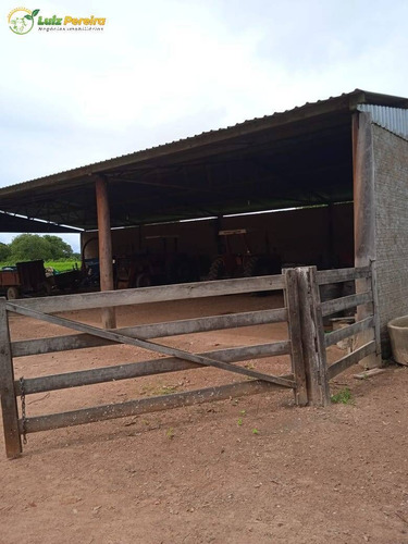 Imagem 15 de 15 de Fazenda Em Breu Branco - Pa - 2.584,56 Hectares (dupla Aptidão) - 2158