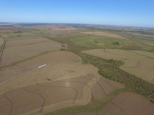 Imagen 4 de 7 de 500 Hectáreas Agrícolas En San Salvador, Entre Ríos A 1000 Metros Del Ripio.