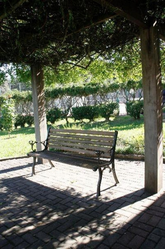 Imagem 10 de 30 de Terreno - Te00024 - 69351236