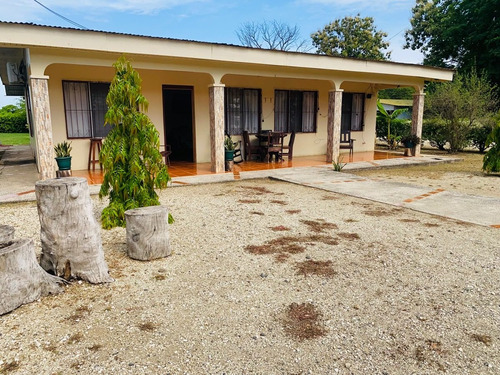 Imagen 4 de 15 de Property For Sale!!! 20 Hectareas