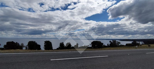 Parcela - 5.000 M2 Cada Una - Cascadas - Puerto Octay