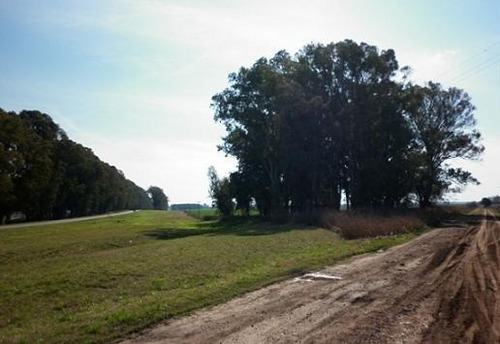 Imagen 5 de 8 de Campo En Venta En Capitán Sarmiento