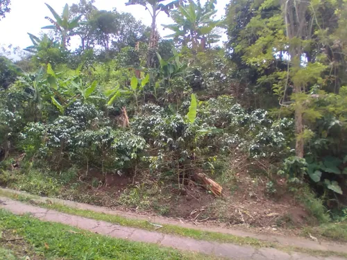 Hermosa Finca, Al Pie De La Carretera, Con Espacio Suficiente Para Hacerle Piscina Y Todo