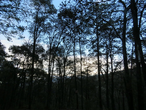 Imagen 7 de 7 de Terreno En Huasca De Ocampo , Fraccionamiento Rancho San Francisco