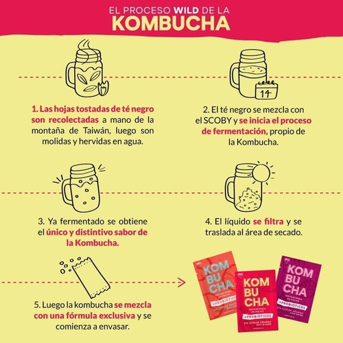 Bebida Probiotica Instantanea Kombucha Probioticos Cajax5