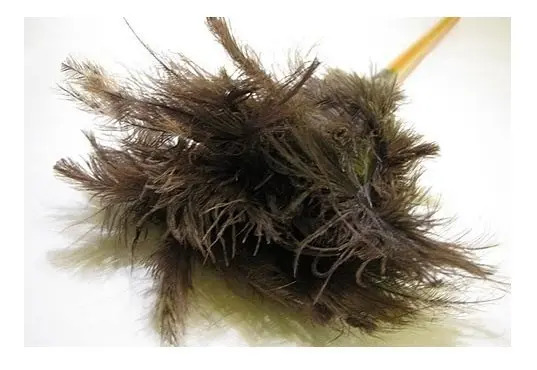 Plumero Pluma La Sampedrina Marrón Oscuro 60cm