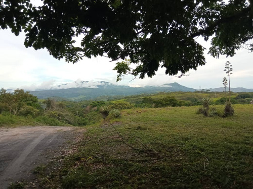 Se Vende Finca Agraria En Guigue