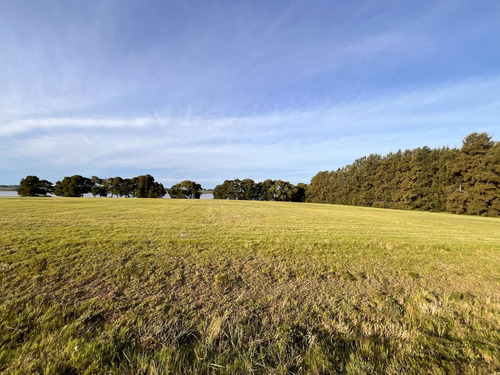 Venta Terreno, Laguna De Los Cisnes, Maldonado