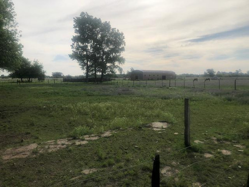 Imagen 23 de 30 de Campo Con Casa Y Boxes En Venta Con Renta - Capilla Del Señor - Exaltacion De La Cruz