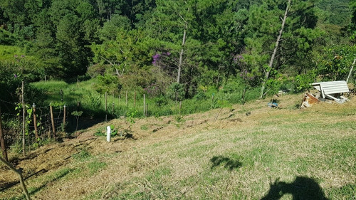 Chácara Nova No 63 Km Da Castelo Branco