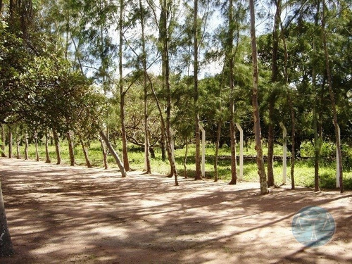 Imagem 8 de 10 de Cod.10414 - Sitio Em Ceara Mirim - V-10414