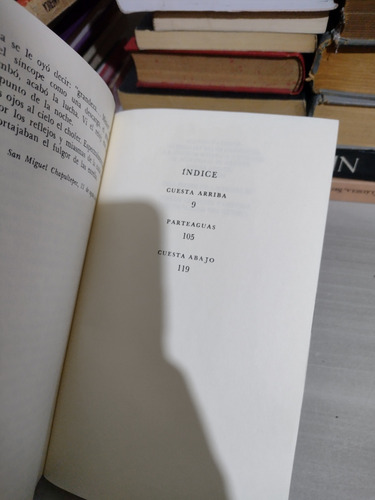 Ojerosa Y Pintada Agustín Yañez Rp76 (Usado)