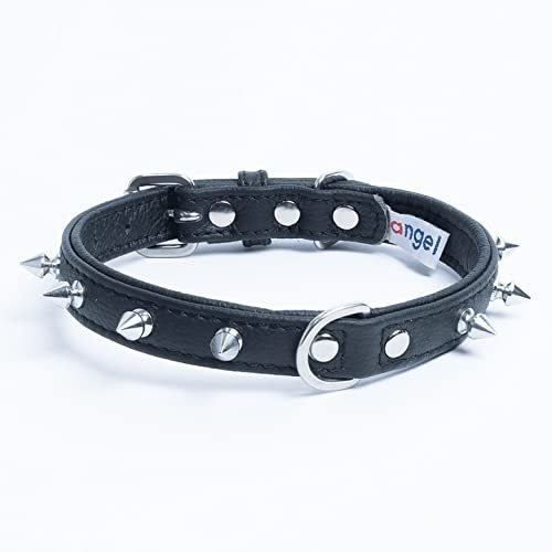 Rotterdam Collar De Perro De Aguja Por Angel. 12  X 5-8  , N