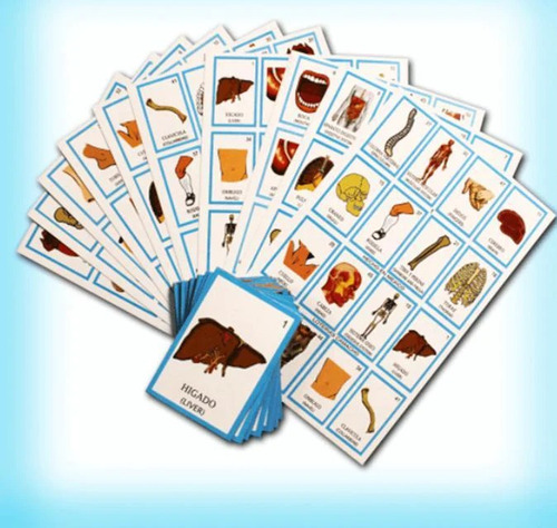 Lotería Paquete Didáctico, Números Tablas Colores Cuerpo Hum