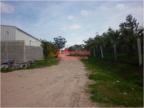 Imagen 2 de 12 de Local En Maldonado, Ruta 39