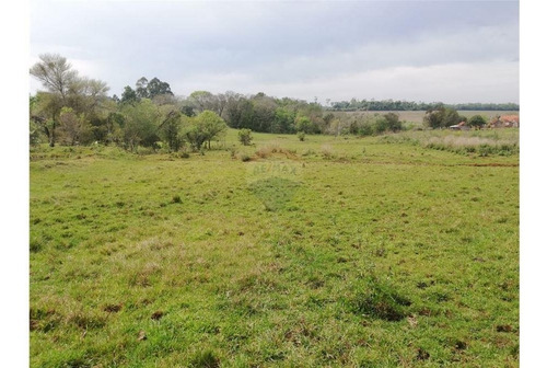 Imagen 7 de 7 de Vendo Campo De 4 Has