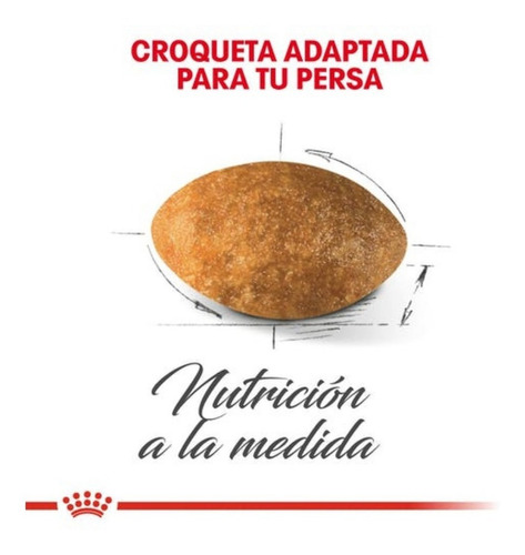 Imagen 3 de 6 de Alimento Royal Canin Persian Para Gato Adulto De 3.1 Kg