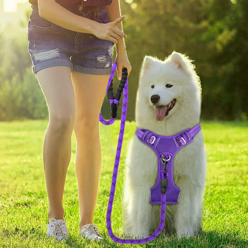 Arnés Para Perro Sin Tirones, Clip Frontal, Resistente, Refl
