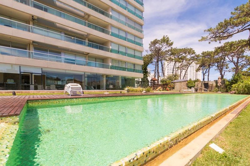 Alquiler Apartamento 1 Dormitorio Punta Del Este