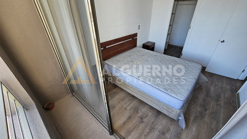 Arriendo Dpto 2d1b1e1bod Nicasio Retamales 115