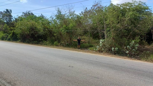 Terreno En Plena Avenida Luisa Caceres De Arismendi (cerca Del Bodeguero)