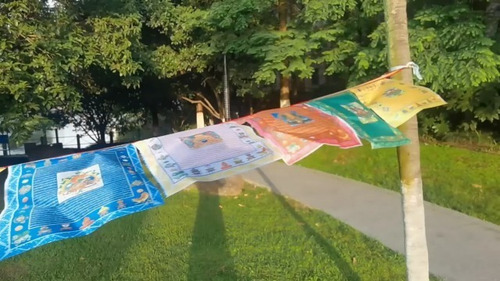 Imagen 8 de 8 de Banderas Tibetanas De Oracion Budista Al Aire Libre, Patron