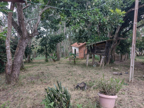 Imagem 23 de 30 de Chácara 4,5 Alqueires Casa Simples E Boa,poço Caipira Agua Cristalina,corrego No Fundo,fácil Acesso 800mts Do Asfalto,ótimo Pasto,27 Kms Itapetininga - Ch00081 - 69505662