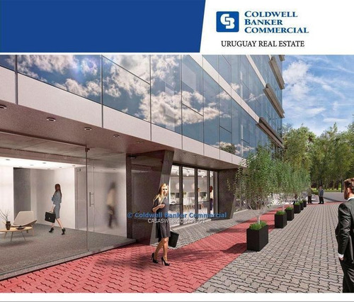 Oficina Avenida De Las Américas Alquiler