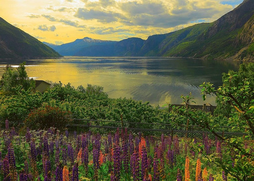 Rompecabezas Ravensburger De 1000 Piezas: Fiordo En Noruega