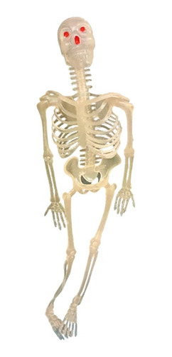 Esqueleto De Goma Grande Elección 25 Cm Hallloween Medicina