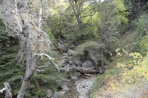 Imagen 21 de 22 de Campo Chubut (chacra) - 27 Hectáreas