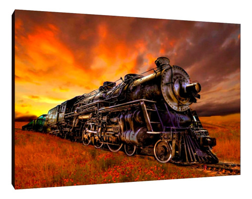 Cuadros Poster Trenes Vias M 20x29 (tnes (3))