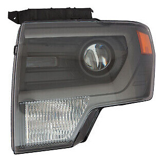 For 2010 - 2014 Svt F150 Raptor Hid Models Head Light Dr Ffy