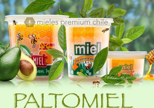 Miel De Abejas Sabores Pote De 1 Kilo