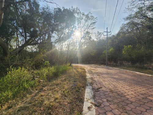 Venta Lote Gladiola 28 En Calle Privada Con Hermosas Vistas Y Todos Los Servicios En Nueva Zona De Fracc Rancho San Diego Ixtapan De La Sal Edomex