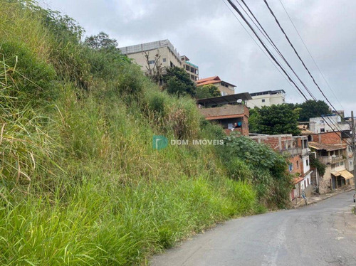 Imagem 6 de 12 de Terreno À Venda, 520 M² Por R$ 56.000,00 - Lourdes - Juiz De Fora/mg - Te0236