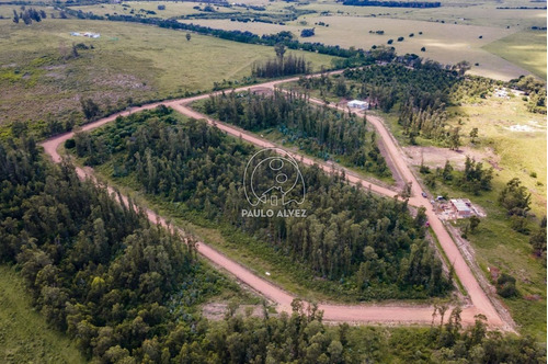 Terrenos Venta Maldonado Piriápolis Punta Colorada